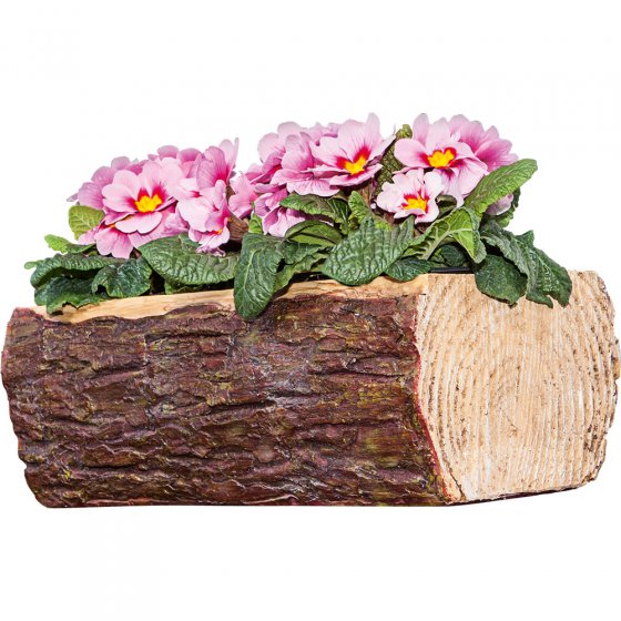 Boomstronk- bloemenpot 