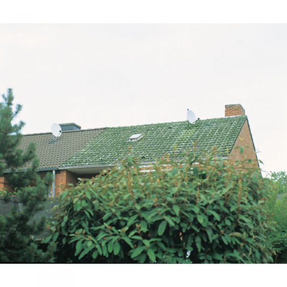 Groene aanslag verwijderaar 