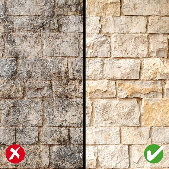 Actief steenreinigingsconcentraat 500 ml 