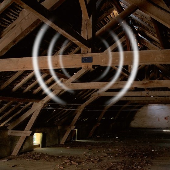 Mobiel marterafschrikmiddel ‘Dual’ 