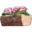 Boomstronk- bloemenpot - 3