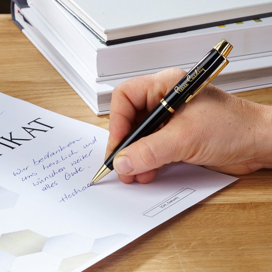 Pennenset 'Pierre Cardin' 