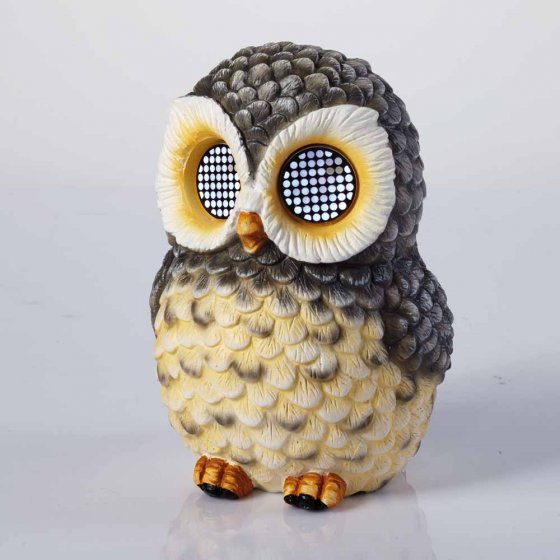 Solar-uil met oogbeweging 