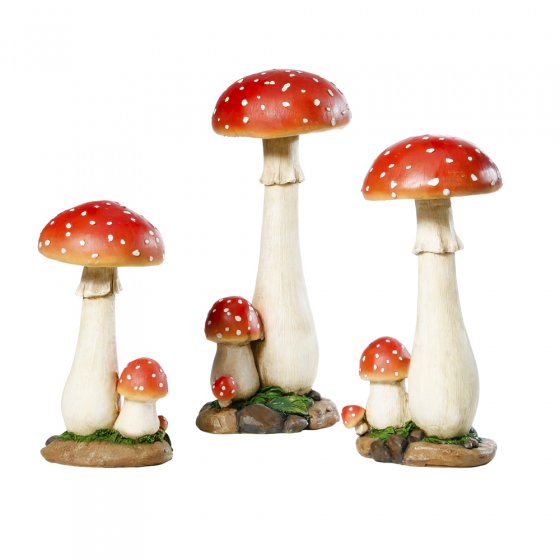 Amanite tue-mouche 30 cm 