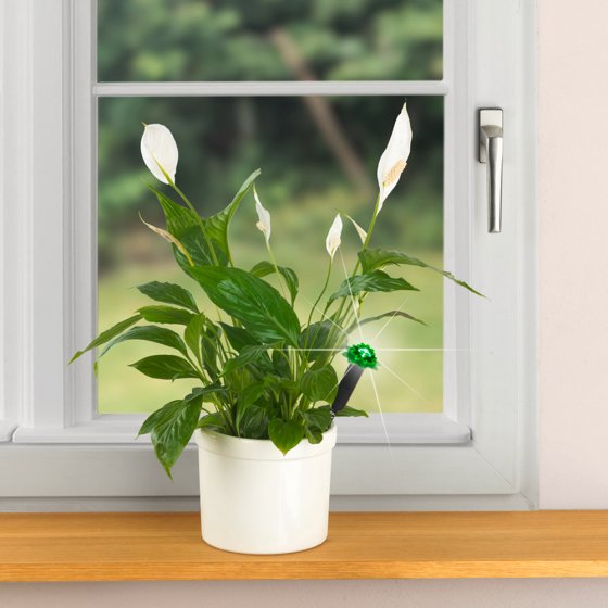 Vochtigheidssensor met LED-verkeerslichtsysteem 