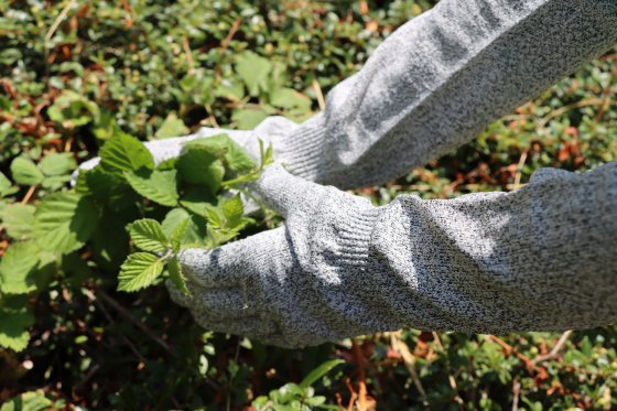Gants de jardinage à manches longues (1 paire) 