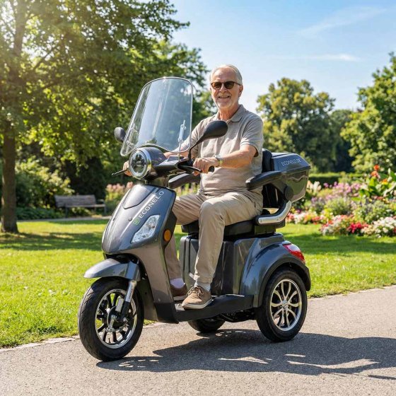 E-Mobil Denia, 3 roues, batterie au lithium Noir