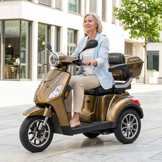 E-Mobil YOGI-IQ, 3-Rad Blei-Akku Marron