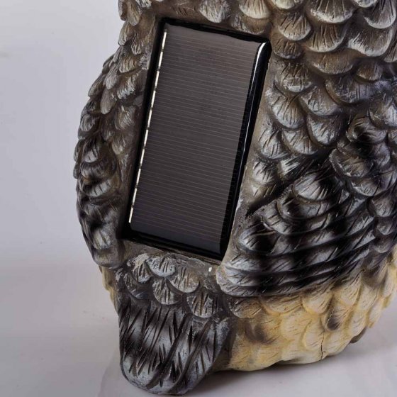 Solar-uil met oogbeweging 
