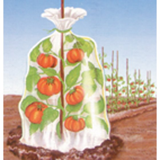 Thermotas voor planten 