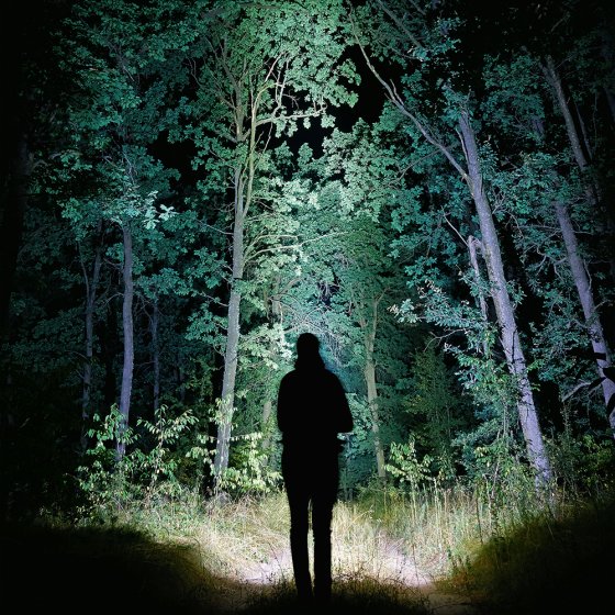 TwinLight 4000" toorts 