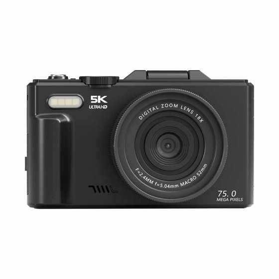 Digitale camera met uitklapbaar scherm 