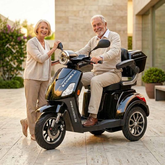 E-Mobil YOGI-IQ, 3-Rad Blei-Akku Noir