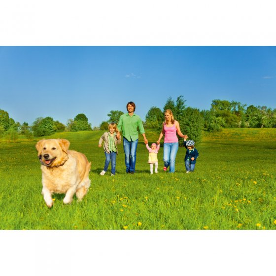 Teken afweer.hanger v.huisdier 