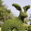 Heggenschaar “Garden Groom” - 5