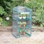 Serre pour plantes - 5
