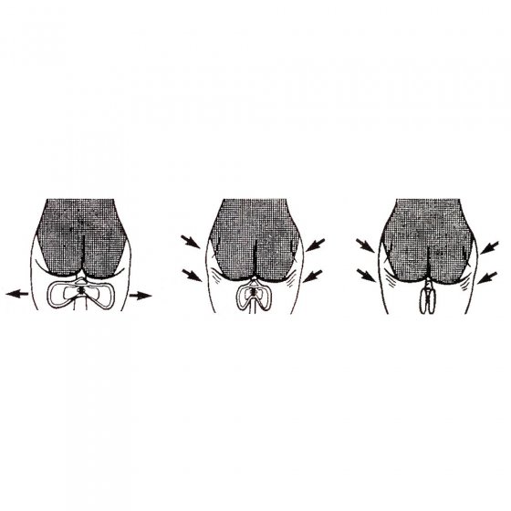 Rééducateur du plancher pelvien 