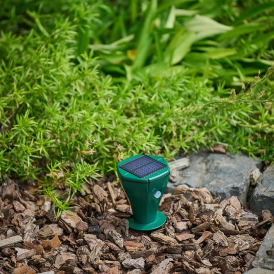 Afweermiddel op zonne-energie tegen woelmuizen 