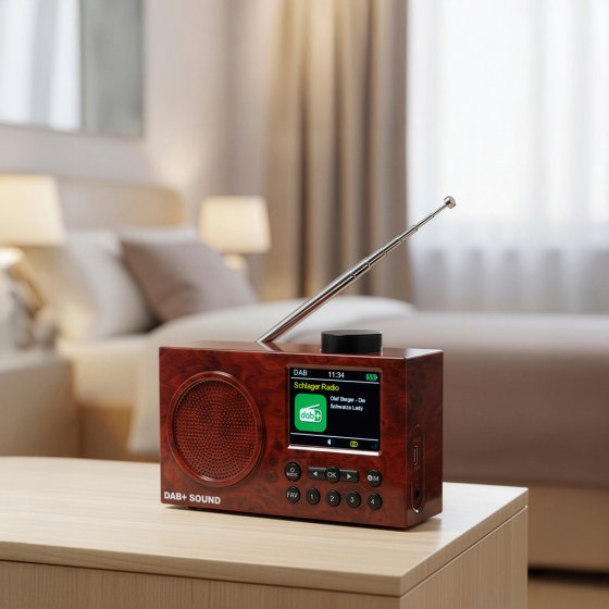 Compacte DAB+-radio met kleurendisplay 