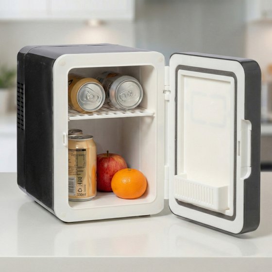 Mini-koelkast, 4 liter 