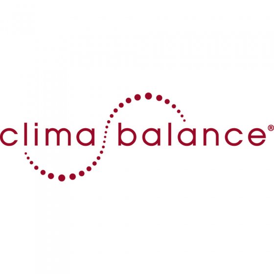 4-seizoenen donsdeken Climabalance® 