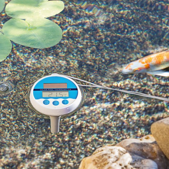 Thermomètre solaire de piscine et bassin 