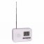 Uw cadeau: radio met klok en thermometer - 6