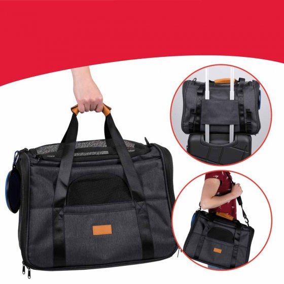 Ensemble de transport pour animaux 