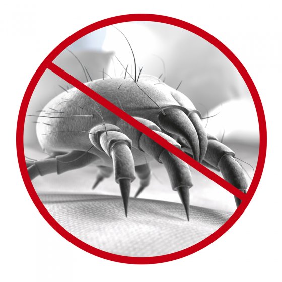 Aspirateur à main sans fil anti-acariens 