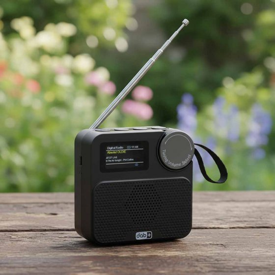 Radio portable DAB+ multifonctions 