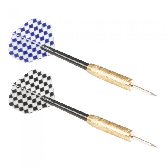 Sisal dartbord met beschermring voor de muur 