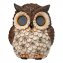 Hibou solaire aux yeux qui bougent - 7
